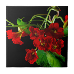 Ruby Red Nasturtium Kakelplatta