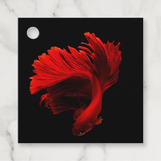 Ruby Red Siamese Fighting Fish Gåvor Etiketter (Framsida)