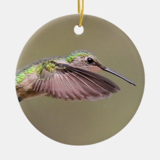 Ruby Red Throat Hummingbird Ornament (Framsidan)