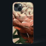 Ruby Röd ros med vita accenter<br><div class="desc">En Chariklia Zarris-original,  den här ruby röd ros tänder mot ett ljus som lyser sina petaler. Är det sol som lyser på ro eller ett konstgjort ljus? En underbarare biet som du kan börja din konstsamling med!</div>