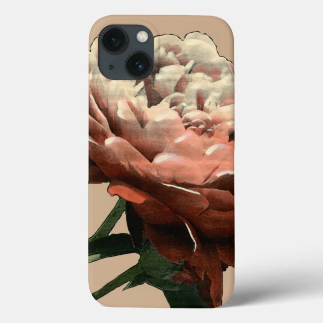 Ruby Röd ros med vita accenter (Baksida)