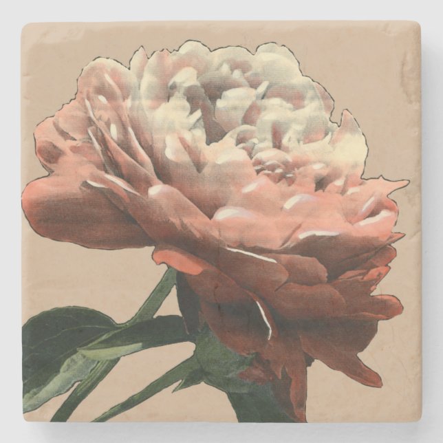 Ruby Röd ros med vita accenter Stenunderlägg (Framsidan)