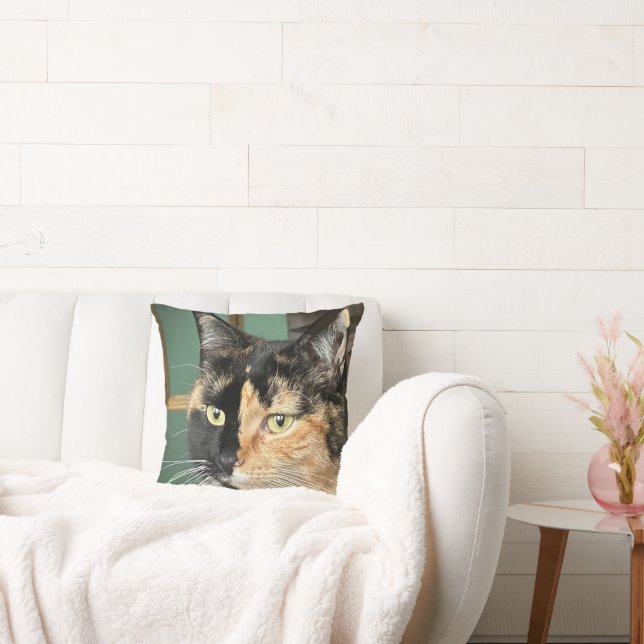 Ruby the Six year old Tortie and White Kudde (Soffa)