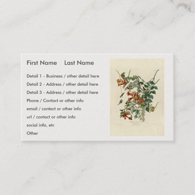 Ruby-throated Humming Bird, Audubon Birds America Visitkort (Framsida)