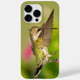 Ruby-Throated Hummingbird