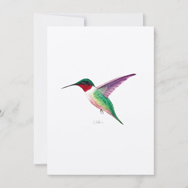 Ruby-throated Hummingbird (Framsida)