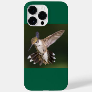 Ruby-Throated Hummingbird