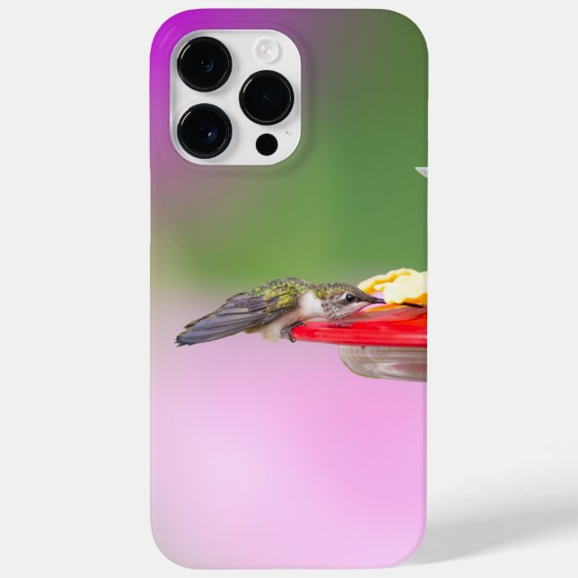 Ruby-Throated Hummingbird (Baksida)