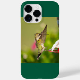 Ruby-Throated Hummingbird