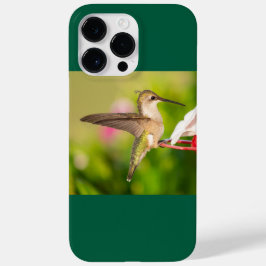 Ruby-Throated Hummingbird