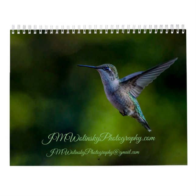 Ruby Throated Hummingbird 2025Calendar Kalender (Baksida)