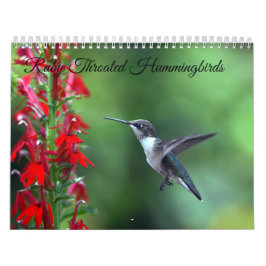 Ruby Throated Hummingbird 2025Calendar Kalender