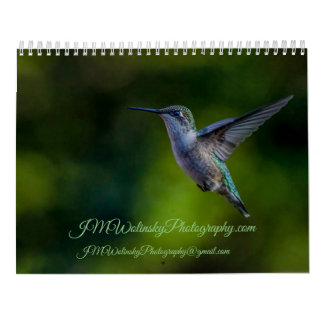 Ruby Throated Hummingbird 2025Calendar Kalender