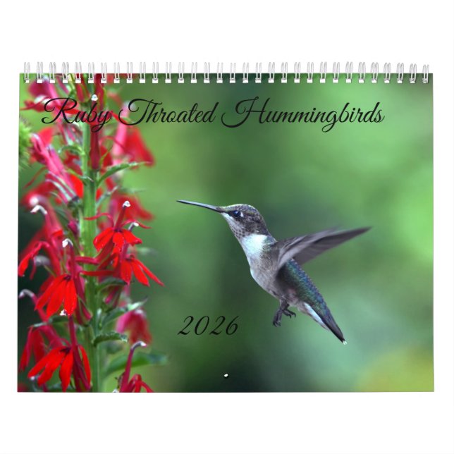 Ruby Throated Hummingbird 2026  Calendar Kalender (Omslag)