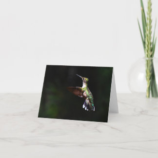 Ruby-throated Hummingbird #2 - Tomt anteckningskor Tack Kort