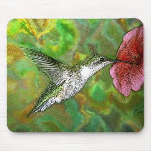 Ruby-throated-Hummingbird-4219-2 Musmatta