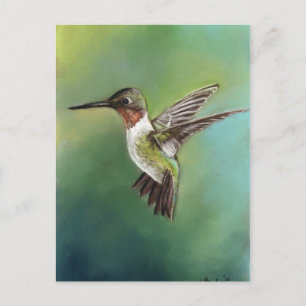 Ruby Throated Hummingbird Art Postcard Vykort