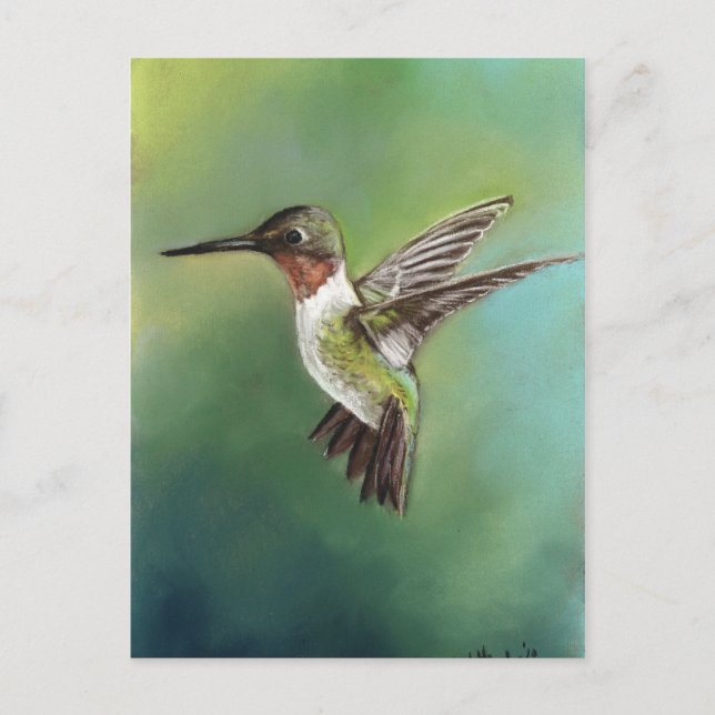 Ruby Throated Hummingbird Art Postcard Vykort (Framsida)
