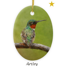 Ruby Throated Hummingbird Bird Painting År Julgransprydnad Keramik