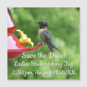 Ruby-Throated Hummingbird Bird Photography