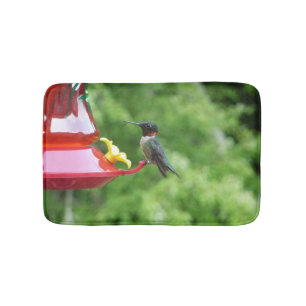 Ruby-Throated Hummingbird Bird Photography Badrumsmatta