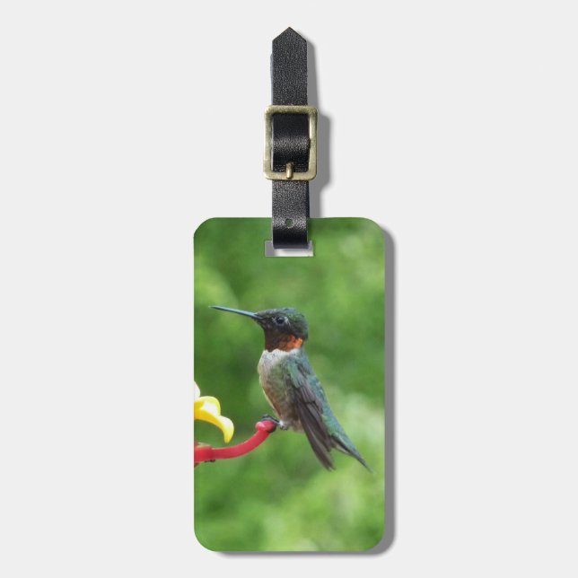 Ruby-Throated Hummingbird Bird Photography Bagagebricka (Vertikal Framsida)