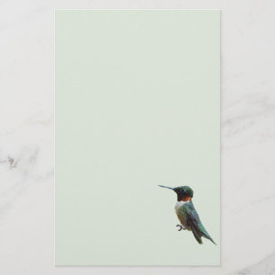 Ruby-Throated Hummingbird Bird Photography Brevpapper