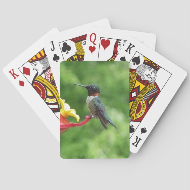 Ruby-Throated Hummingbird Bird Photography Casinokort (Baksidan)