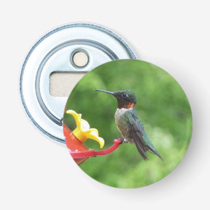 Ruby-Throated Hummingbird Bird Photography Flasköppnare