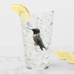 Ruby-Throated Hummingbird Bird Photography Glaskopp
