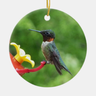 Ruby-Throated Hummingbird Bird Photography Julgransprydnad Keramik