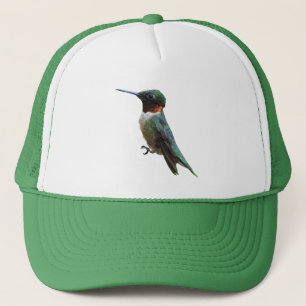 Ruby-Throated Hummingbird Bird Photography Keps