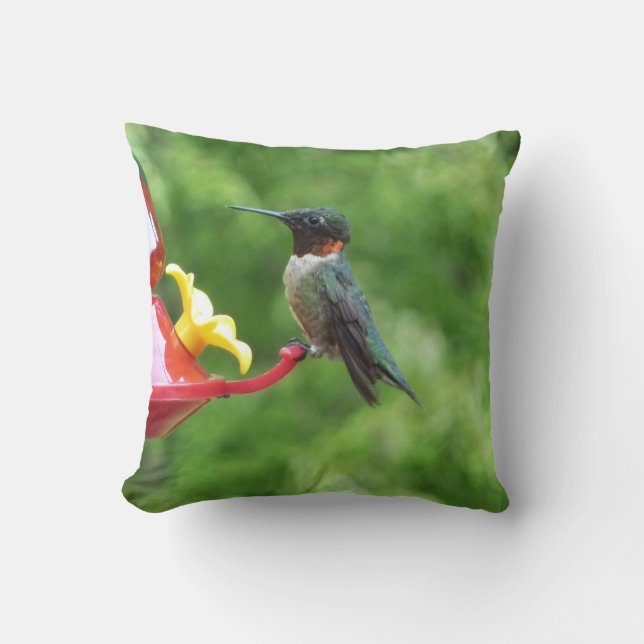 Ruby-Throated Hummingbird Bird Photography Kudde (Framsida)