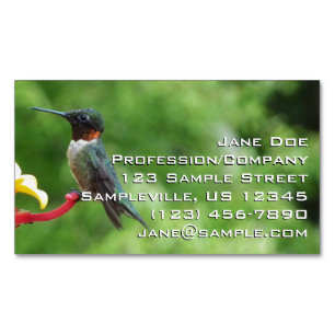 Ruby-Throated Hummingbird Bird Photography Magnetiska Visitkort