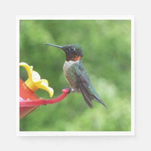 Ruby-Throated Hummingbird Bird Photography Pappersservett (Framsidan)