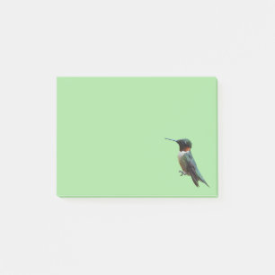 Ruby-Throated Hummingbird Bird Photography Post-it Block