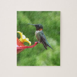 Ruby-Throated Hummingbird Bird Photography Pussel