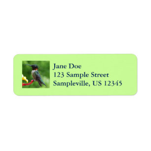 Ruby-Throated Hummingbird Bird Photography Returadress Etikett