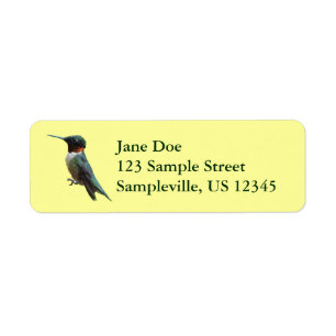 Ruby-Throated Hummingbird Bird Photography Returadress Etikett