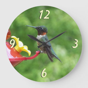 Ruby-Throated Hummingbird Bird Photography Stor Klocka