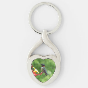 Ruby-Throated Hummingbird Bird Photography Twisted Heart Silverfärgad Nyckelring