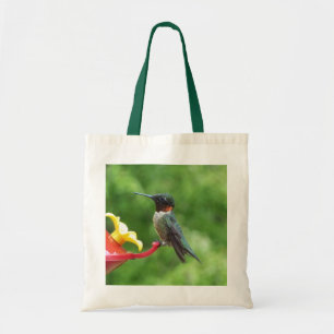 Ruby-Throated Hummingbird Bird Photography Tygkasse