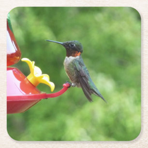 Ruby-Throated Hummingbird Bird Photography Underlägg Papper Kvadrat