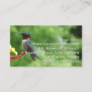 Ruby-Throated Hummingbird Bird Photography Visitkort