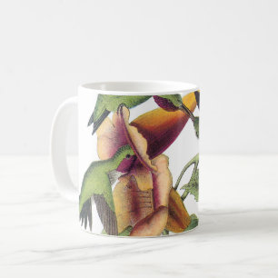 Ruby-throated Hummingbird by Audubon Kaffemugg