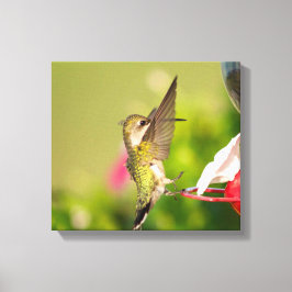 Ruby-Throated Hummingbird Canvastryck
