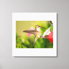 Ruby-Throated Hummingbird Canvastryck