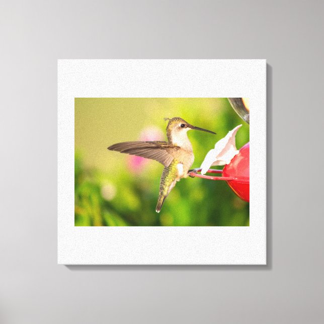 Ruby-Throated Hummingbird Canvastryck (Framsida)