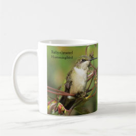 Ruby-throated Hummingbird Coffee Mugg