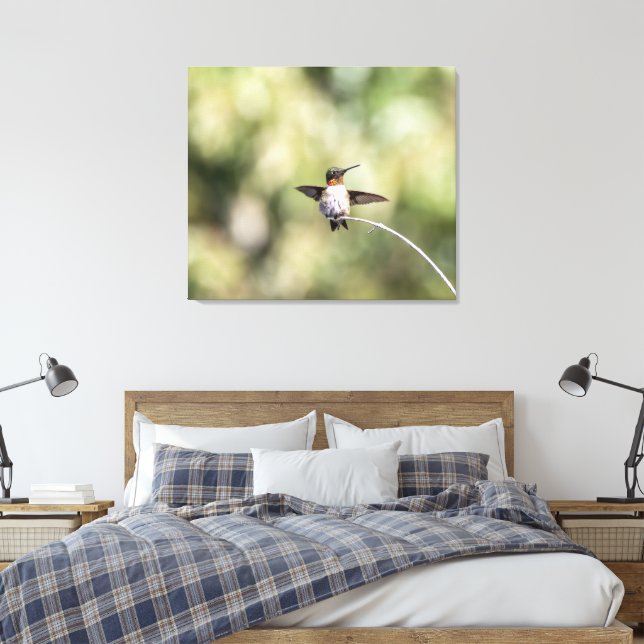 Ruby-Throated Hummingbird Design #4Q7A0015 Canvastryck (Insitu (sovrum))